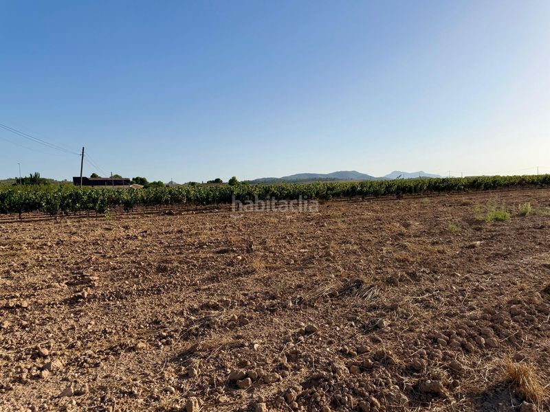 Foto 643e919b-6ae2-416c-8ae8-580d16eb3586. Finca rústica a Pinoso