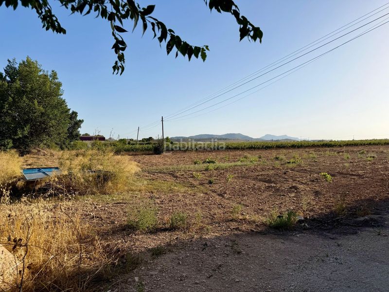 Foto a20ff290-4150-40dc-aa70-88ea59178829. Finca rústica a Pinoso