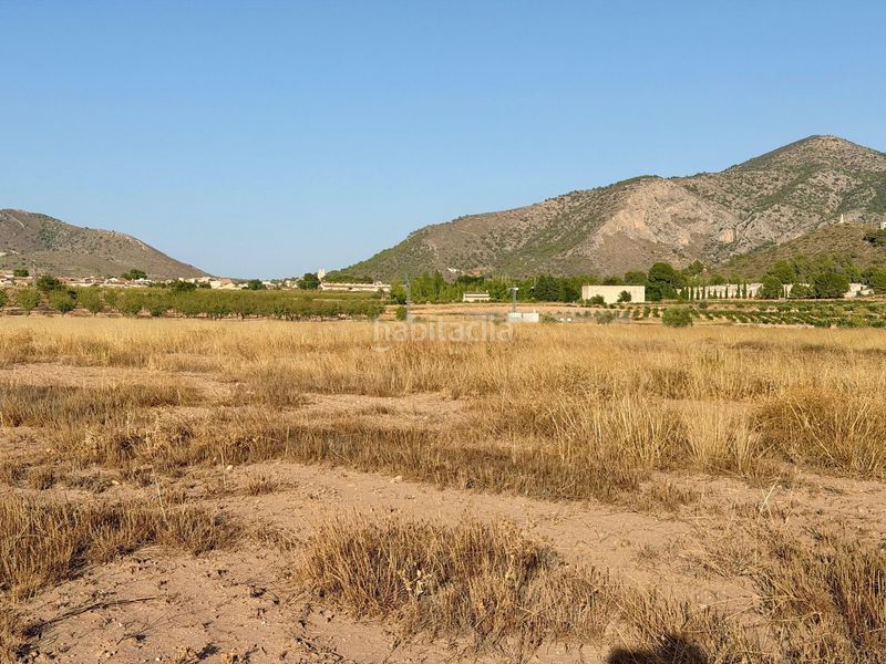 Foto 3a561244-1cd1-4de0-a007-6e7b928819da. Finca rústica a Algueña