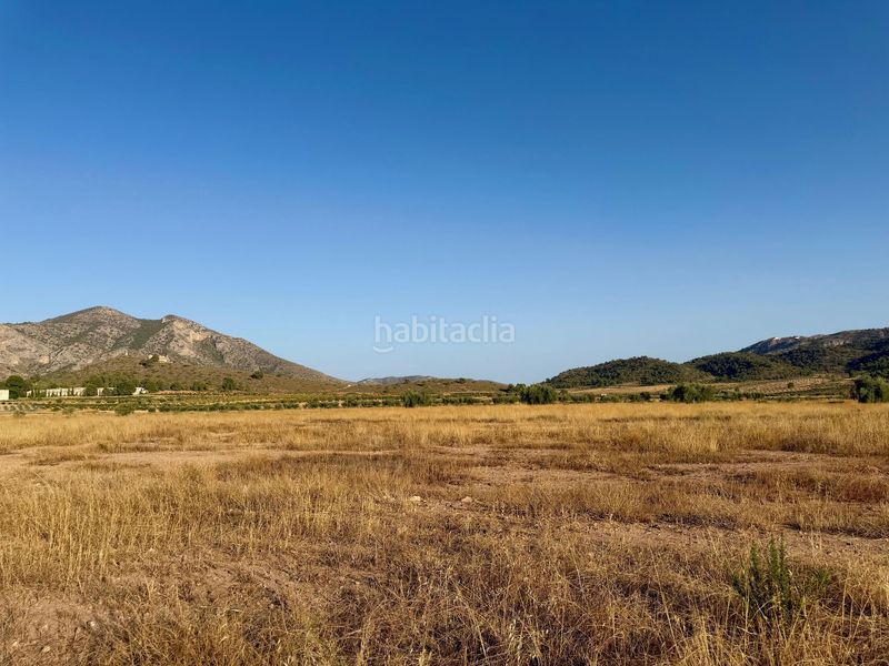 Foto 42ad00b4-ff5d-4c62-b0bd-508f53581e33. Finca rústica a Algueña