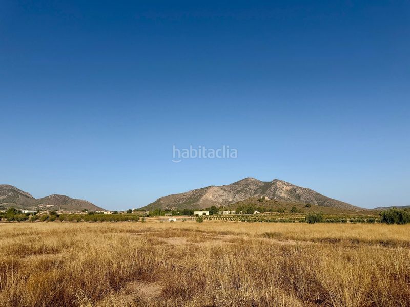 Foto 597bb0c2-b9f3-4b21-ac16-8e9b0a83ee6d. Finca rústica a Algueña