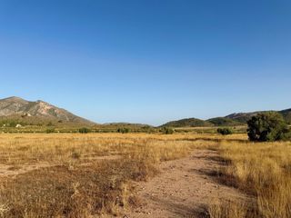 Fondo rustico in Algueña. Terreno de 2.409 m en algueña