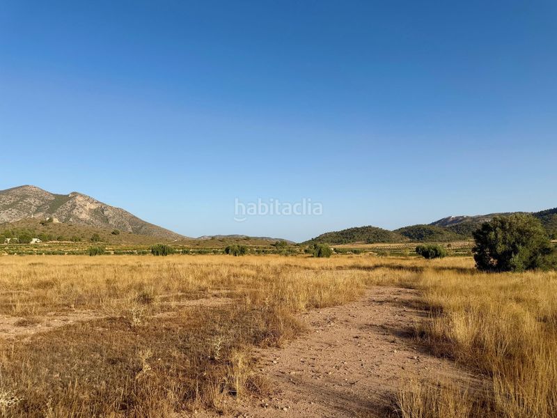 Foto bbd433c9-69a9-4abf-9c8c-e12618c76651. Finca rústica a Algueña