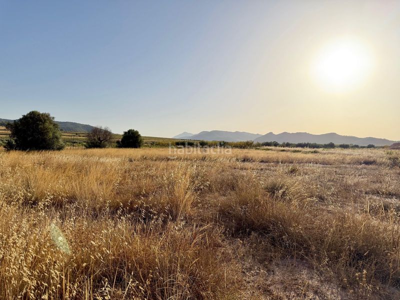 Foto dd2363b0-3e12-45e9-9b2a-764325fe4ab6. Finca rústica a Algueña