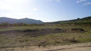 Finca r�stica en Hond�n de las Nieves. Terreno no urbanizable de 9.518 m entre hond�n de los frailes y