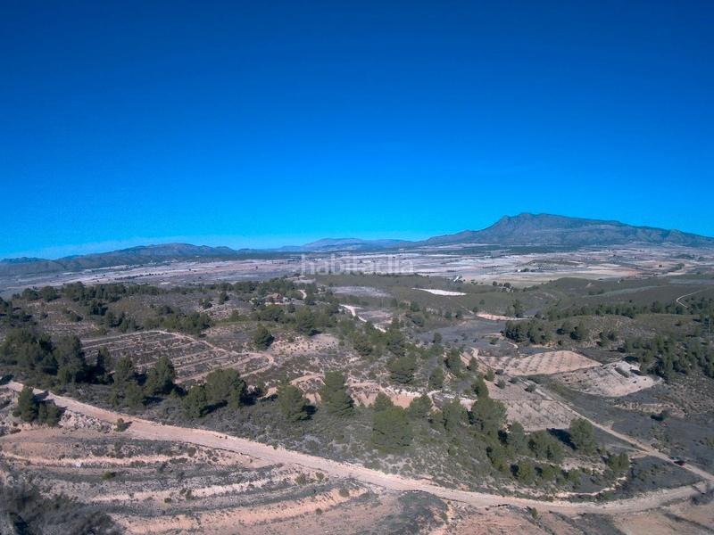 Foto 0c731673-b280-4e57-acad-3f14b9a2b9ff. Rural plot in Jumilla