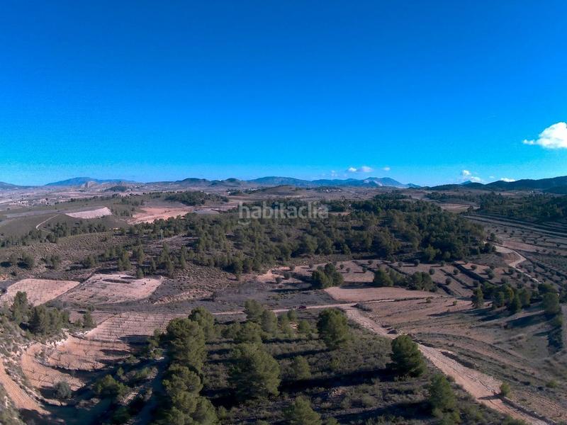 Foto 34d08cd2-b6f9-4dac-8728-561d823d2477. Rural plot in Jumilla