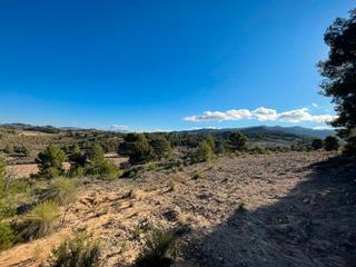 Rural plot in Jumilla. Parcela urbanizable en la zarza jumilla 18.354 m