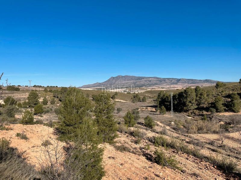 Foto 85952d86-09d2-45a1-82aa-278165d82f65. Rural plot in Jumilla