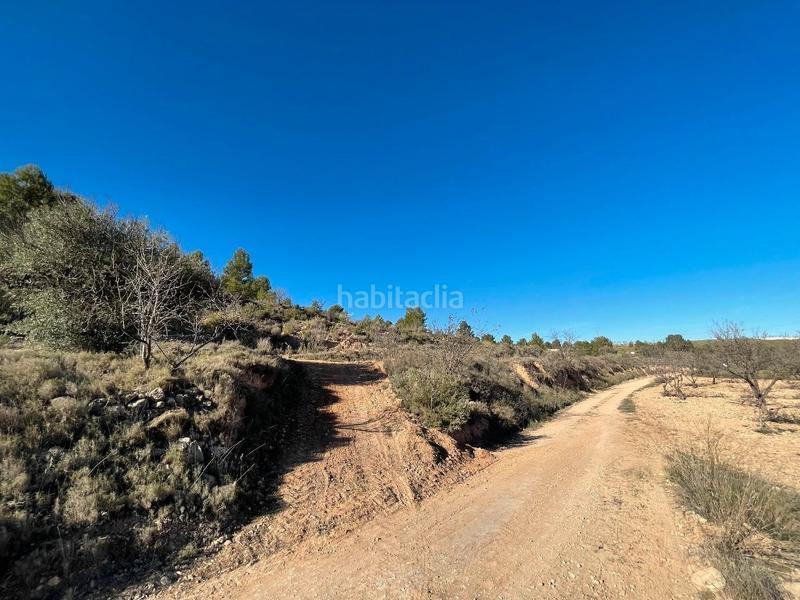 Foto a811b00c-b9b2-4f71-80da-a812f3377626. Rural plot in Jumilla