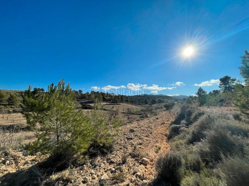 Foto b1b845de-2f7d-44a5-871a-4709a9292409. Rural plot in Jumilla