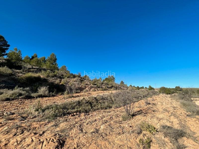 Foto b3f26f72-70a7-4e30-a6df-792c3e0a7111. Rural plot in Jumilla