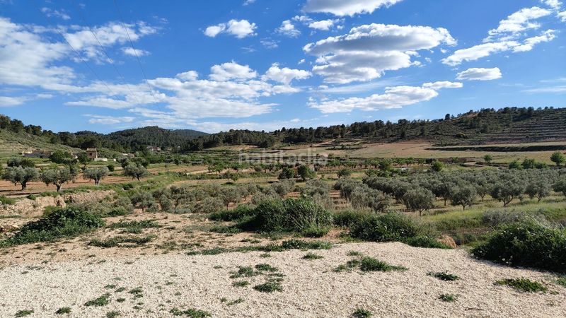 Foto 212ded65-2ffd-4bb0-9f9a-03f77705b502. Finca rústica a Jumilla