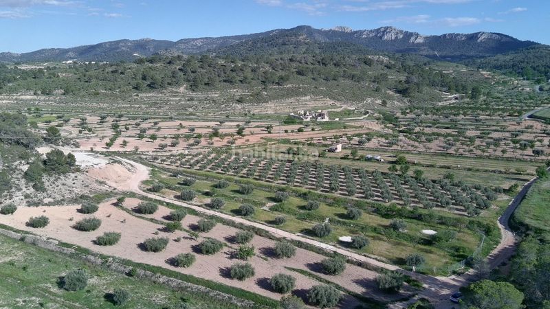 Foto 22287564-9f0a-4bf2-8294-5e8dce0be4d4. Finca rústica a Jumilla