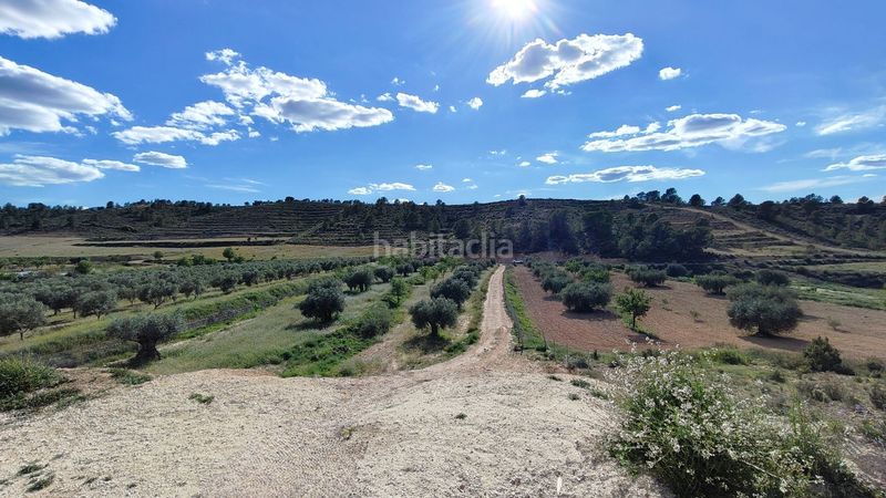 Foto 54c5648d-4050-45ff-9352-cadb69ee1f6c. Finca rústica a Jumilla