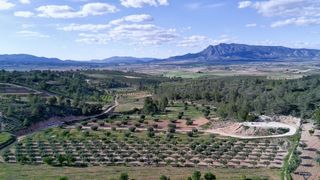 Finca rústica a Jumilla. Parcela urbanizable en la zarza jumilla 6.736 m2