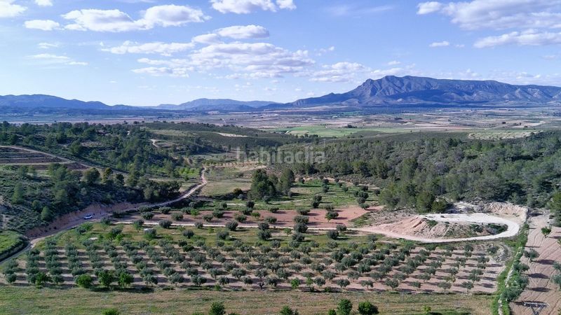 Foto 7f2e71cc-e366-40e8-a065-c4f5a3b270ba. Finca rústica a Jumilla