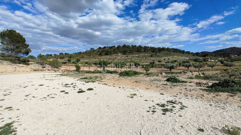 Foto 8fb75155-626d-4e1f-8432-7323cbf7c7f1. Finca rústica a Jumilla