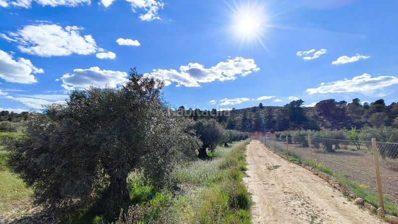 Foto 9cda56b8-7522-477e-b7fb-d5f98bb72458. Finca rústica a Jumilla