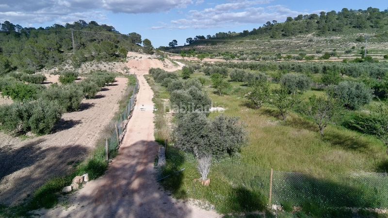 Foto d5aa4667-fb40-46d7-a17a-eeb7771fb38e. Finca rústica a Jumilla