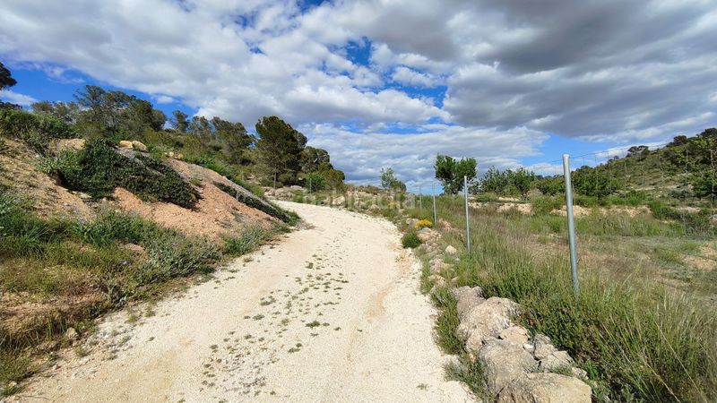 Foto d8c3d1a2-40d1-462a-b482-3fa02565f21e. Finca rústica a Jumilla