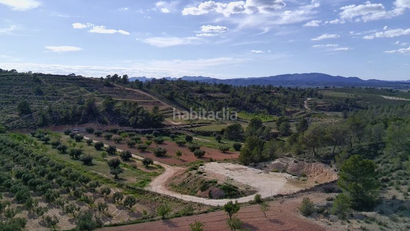 Foto df29c9a2-8863-45fb-980b-136fbe0ba4af. Finca rústica a Jumilla