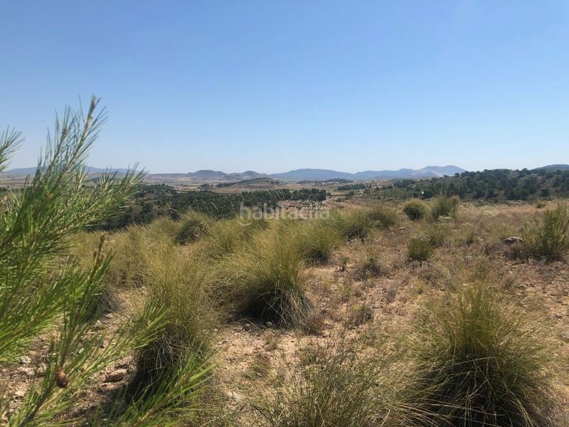 Foto 02fab71c-6781-4d4a-a63c-9162f11d6942. Rural plot in Jumilla
