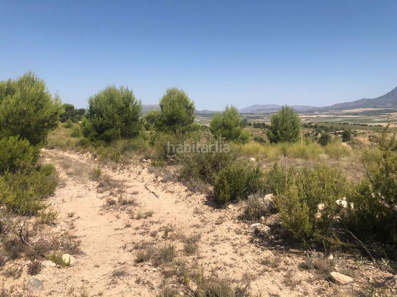 Foto 299291c3-be8a-4ed9-8e60-49a3bfe30c92. Rural plot in Jumilla