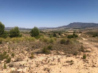 Finca rústica a Jumilla. Parcela urbanizable en la zarza jumilla 23.359 m