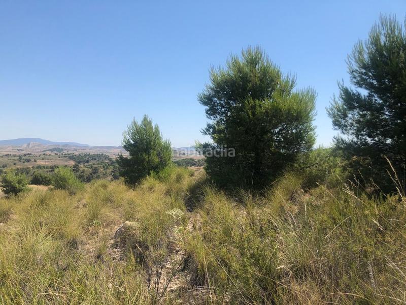 Foto 86ca4309-eb4a-4405-882d-d8bf6c8ffae2. Rural plot in Jumilla