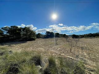 Rural plot in Jumilla. Parcela urbanizable en la zarza jumilla 43.593 m