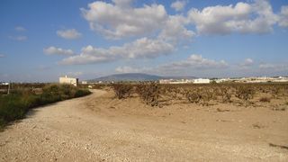 Finca r�stica en Pinoso. Finca vi�edos en producci�n en pinoso, alicante