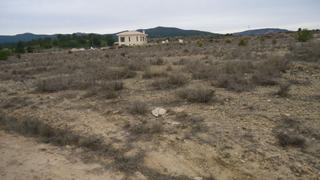 Propriété à Pinoso. Parcela 7.155 m2 en úbeda, pinoso alicante