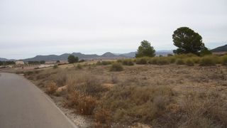 Finca r�stica en Pinoso. Parcela no edificable de 9.415 m en pinoso, alicante