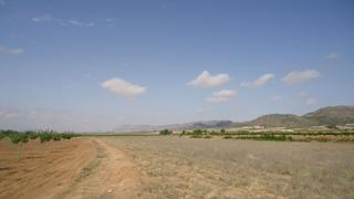Rural plot in Yecla. Parcela edificable de 6.466 m2 en yecla murcia