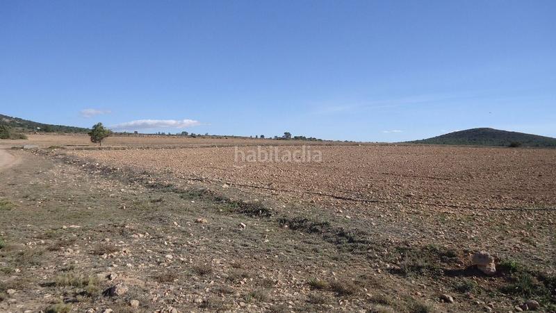 Foto 033b5555-ad5c-48b4-99f3-57de8071f6db. Finca rústica a Yecla