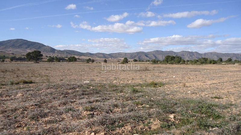 Foto 0a2ebb21-8868-4e10-aa6f-7527034d110d. Finca rústica a Yecla