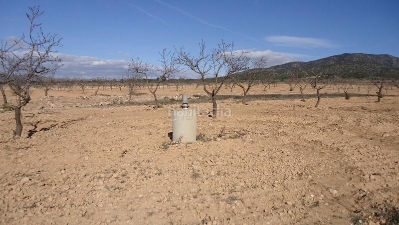 Foto 145f2b1e-0f3b-4bd6-a3b9-d6528240fd4b. Finca rústica a Yecla