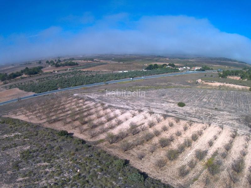 Foto 1d8c8130-01b3-4297-adc5-71dc1fd7bdf2. Finca rústica a Yecla