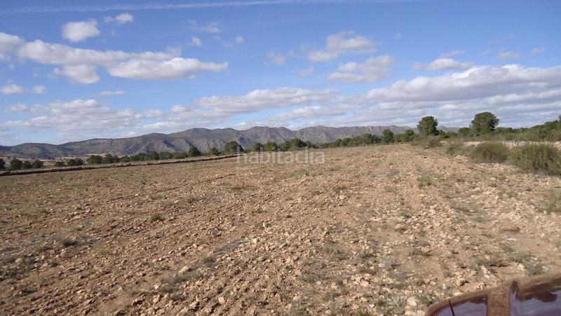 Foto 1e4085d5-828c-434a-bc79-ea4cc5844cd4. Finca rústica a Yecla