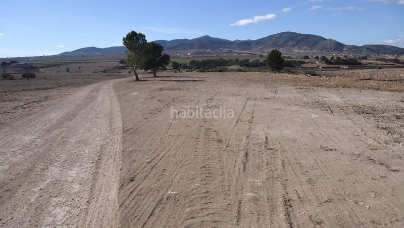 Foto 37a054fd-8a17-436f-9709-bd2fb0f3c107. Finca rústica a Yecla