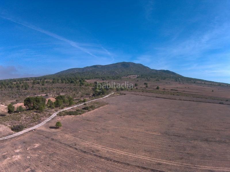 Foto 434ade79-e569-4e74-a531-1df4d025dada. Finca rústica a Yecla