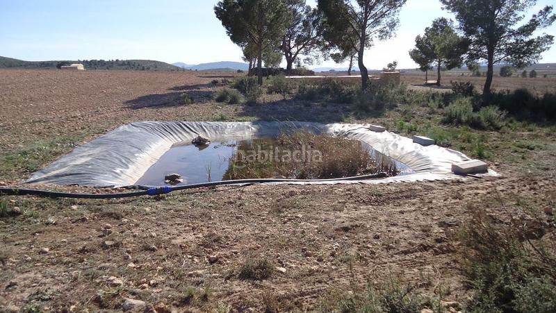 Foto 43a2bb79-1bcb-4520-a303-0bad85ef48ff. Finca rústica a Yecla