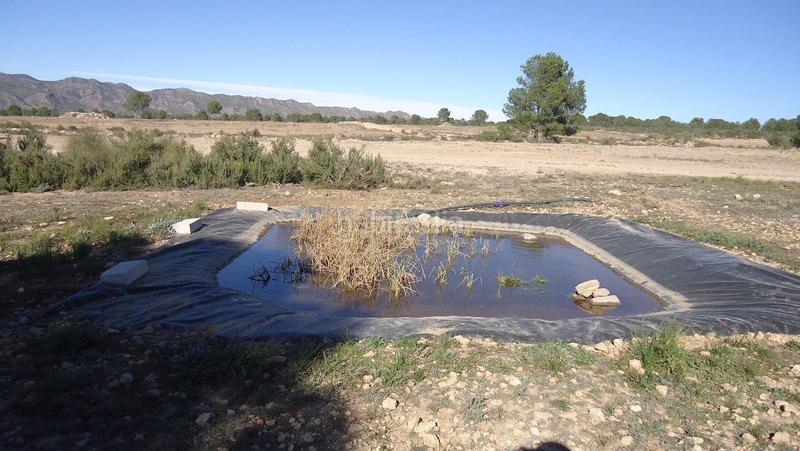 Foto 441f6d27-8776-486d-8de7-1ab165fef388. Finca rústica a Yecla