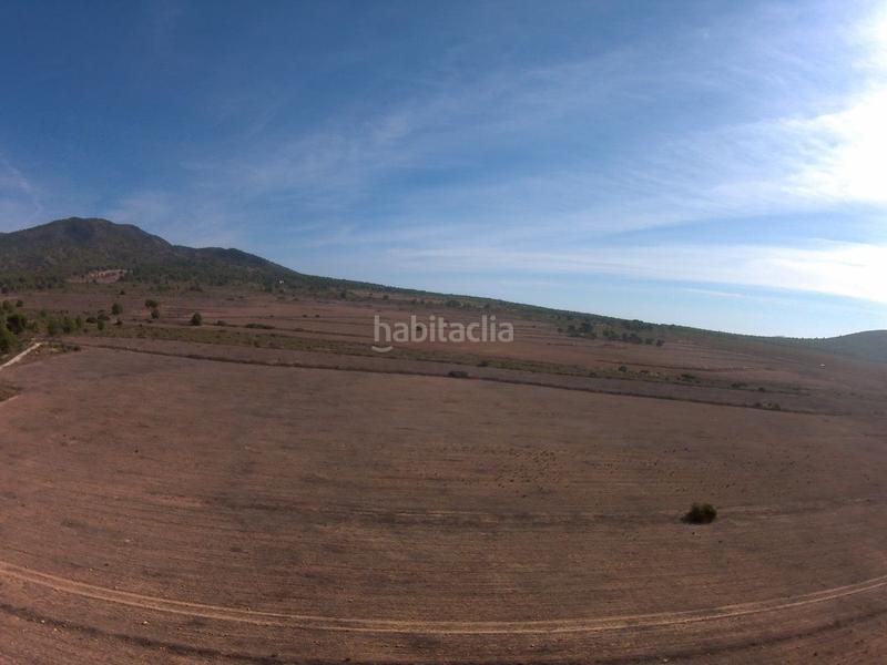 Foto 48ab28e1-37b4-45de-a5e8-d575dab36551. Finca rústica a Yecla