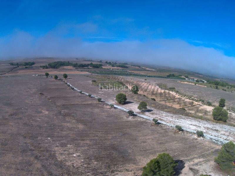 Foto 5ad78e70-8a51-4116-b271-079eca399313. Finca rústica a Yecla