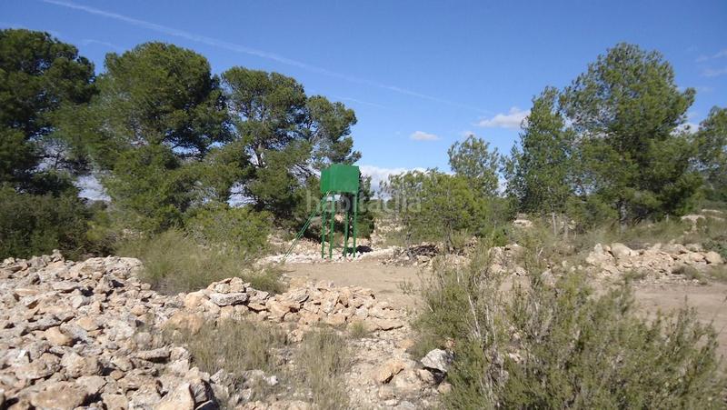 Foto 652d7ece-92bc-4a67-8bff-29ab8cca0021. Finca rústica a Yecla