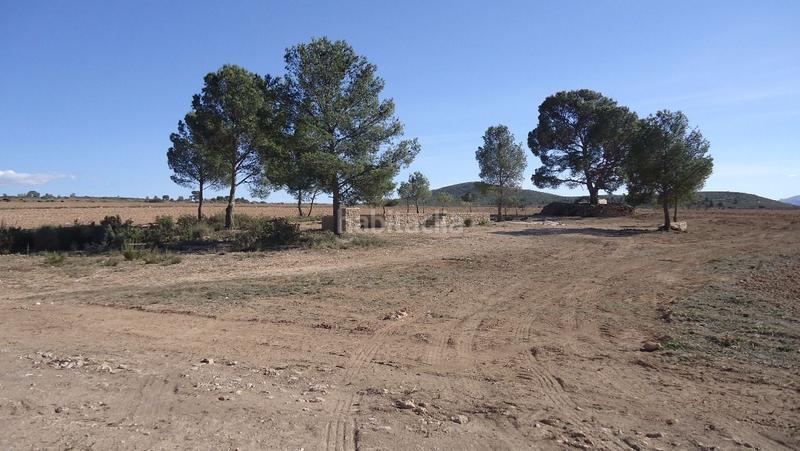 Foto 68a039b4-faa8-4fa8-a8a5-b3dba3305e36. Finca rústica a Yecla