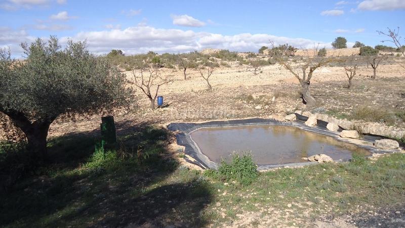 Foto 7617797f-9a4b-48b2-8e35-ab5df2a48686. Finca rústica a Yecla