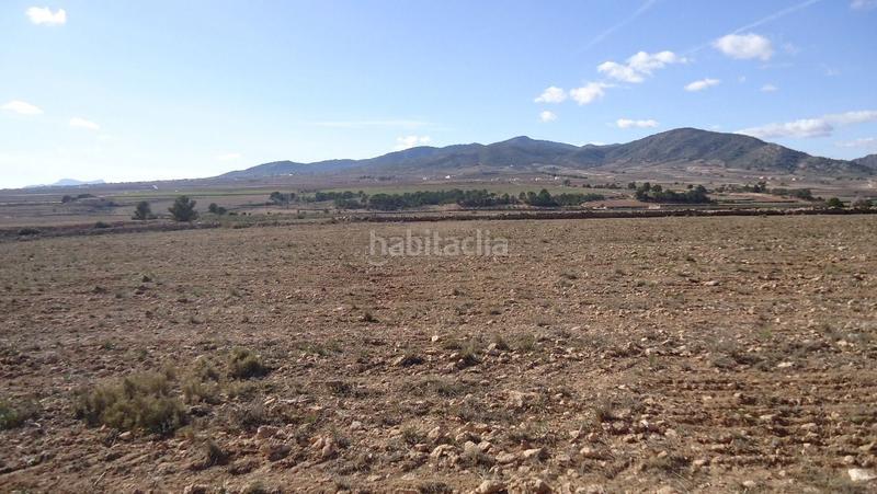 Foto 93057b83-4006-48a9-8d43-c6b3dc9aed47. Finca rústica a Yecla